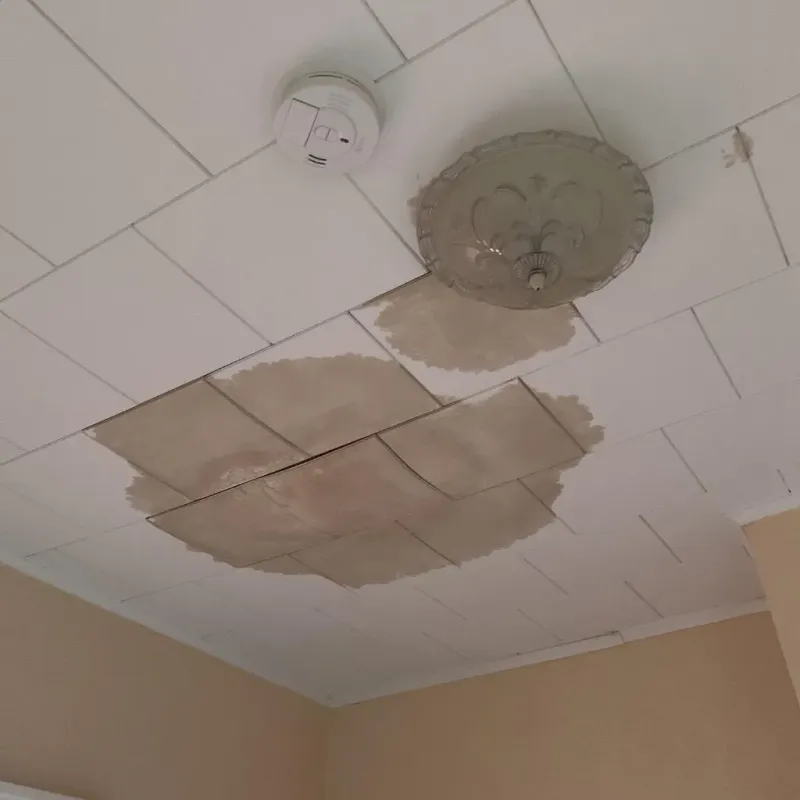 Ceiling Water Damage Repair in El Valle de Arroyo Seco, NM