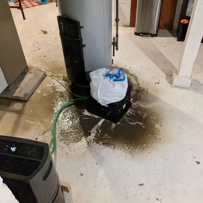 Sewage Backup Cleanup Service in El Valle de Arroyo Seco, NM